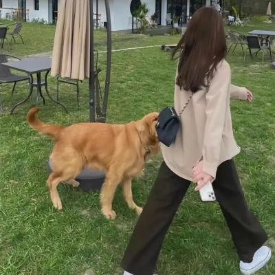 僵尸至尊